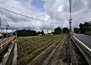 田尾鄉-土地，873.6坪