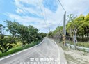 六甲區-土地，518.8坪