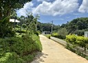 新埔鎮-土地，236.2坪