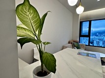 新明路428巷【寬悅團隊】內..