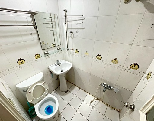 萊恩/🏠可租補/可寵/採光/府中/大明街/CP值超高 - Image 11