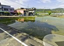 關西鎮-土地，587.5坪