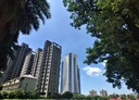 西屯區-市政北二路辦公，130.4坪