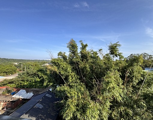 房子買太大間!同事住三年搬走釋出雙面採光美墅景觀4樓整層出租 - Image 5