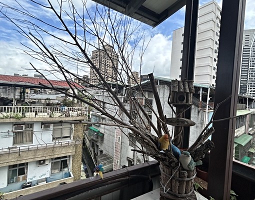 @星鴻~捷運新店公所3分鐘超通風舒適套房 - Image 2