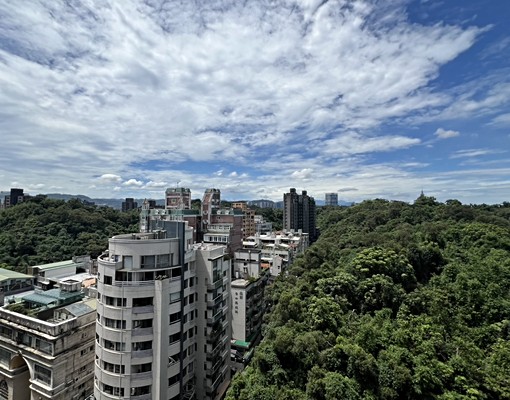 《寬悅團隊》Lan葫洲站高樓景觀豪邸一層一戶 - Image 14