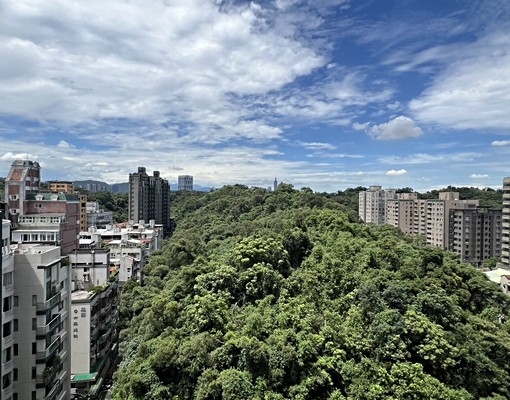 《寬悅團隊》Lan葫洲站高樓景觀豪邸一層一戶 - Image 1