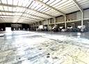 新屋區-永安工業區廠房，1025坪
