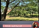 桃園區-土地，542坪