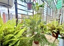 淡水區-中山北路一段2房2廳，28.3坪