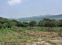 金山區-土地，7184坪