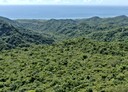 長濱鄉-土地，49508坪