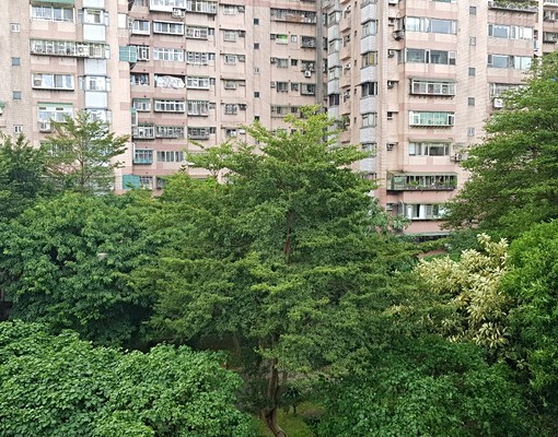 面向公園.環境清悠.景觀視野佳. - Image 13