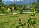 壽豐鄉-豐坪路三段4房3廳，61坪