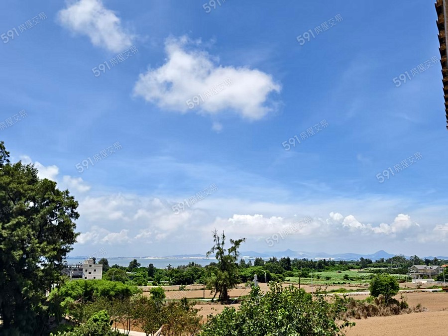 雙和中蘭透天環境圖