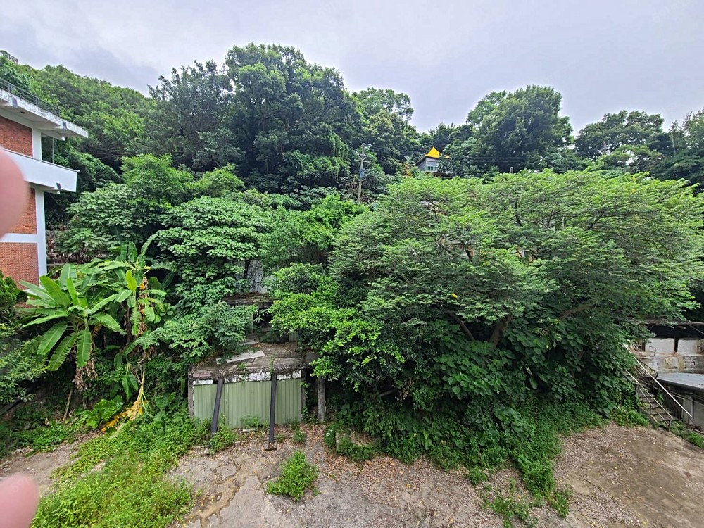 北投公園捷運大陽台大套房(可租補)-近捷運超市、大衛浴面綠意 - Image 1