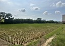 觀音區-大湖段土地，864.3坪