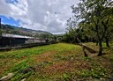 士林區-土地，949.3坪