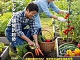 宣傳圖(4)