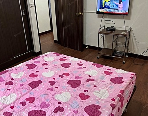 柳鄉明亮屋環河南路二段裝潢雅房 - Image 13