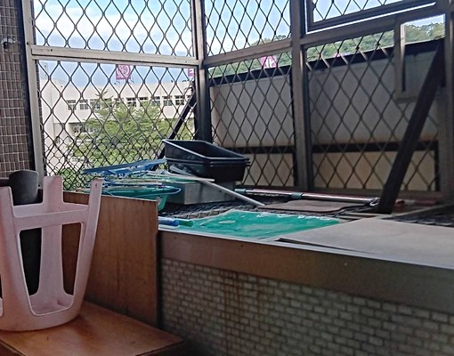 可租補套房近士林劍潭內湖大直東吳銘傳文 - Image 6
