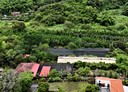 大社區-食坑巷土地，801.5坪