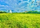 大甲區-土地，1155.4坪
