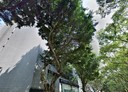 松山區-敦化南路一段店面，214坪