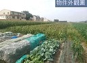 草屯鎮-土地，904.9坪