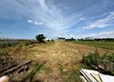 新屋區-清華段土地，1217坪