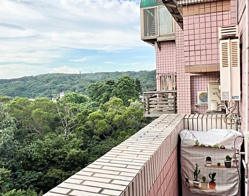 可養寵物明湖路樓中樓👍￸� - Image 8
