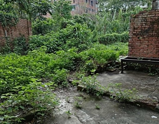 南庄田美全新整修透天店面+住家.閣樓+庭院菜園合計85坪 - Image 12