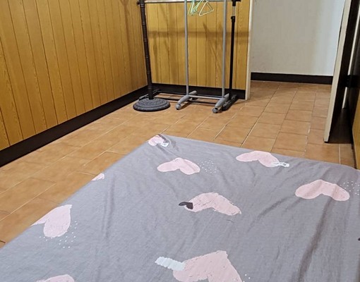 限女性不寵物採光好空氣流通近真理大學近淡江高中 - Image 9