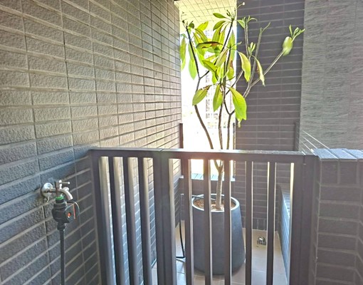 租小檜溪遠雄夏沐全新沒住過3房車 - Image 16