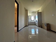 青雲路青埔高鐵站／兩房兩衛..