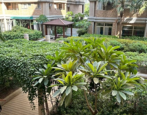 馬可波羅格局方正大三房家具家電齊全 - Image 11