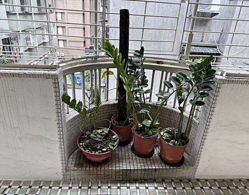 方正光線足視野綠樹靜謐舒適市場學校 - Image 11