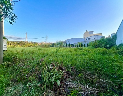 豐原超稀有便宜農地廠房 - Image 6