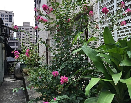 景美捷運旁(女)乾淨套房 - Image 11