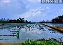 冬山鄉-土地，774.8坪