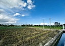 吉安鄉-福興段土地，209.6坪