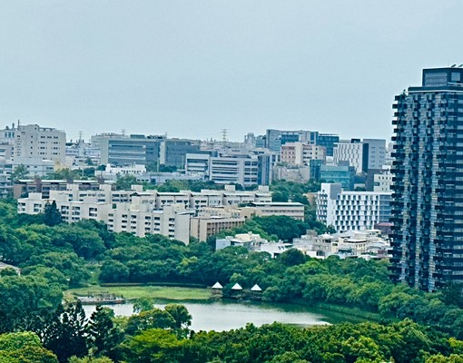 近關新路園區實驗中學美麗華大方2+1房出租 - Image 10