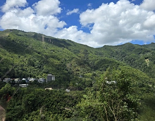 鄰近溪頭三合院 - Image 9