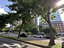 南區臨70M路角地住三100坪