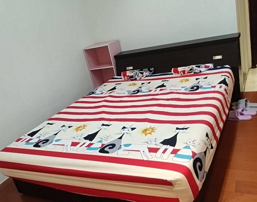 ★電梯陽台套房★免服務費★可租金補助★ - Image 1