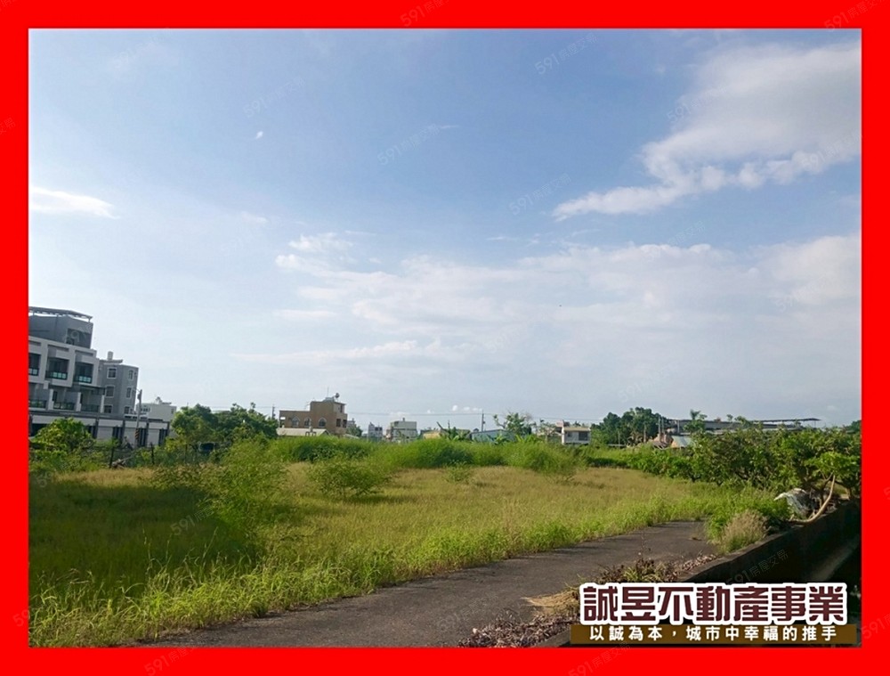 照片