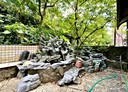暖暖區-東勢街2房2廳，22.5坪