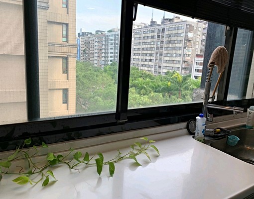 樹海景🌳仁愛敦化圓環✨優質生活圈|復興敦化大安捷運金三角 - Image 7