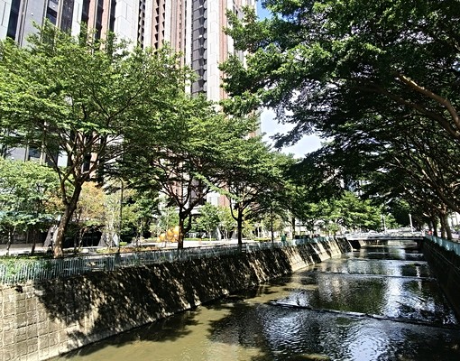 國賓大悅三房平面車位,綠園景觀戶 - Image 12