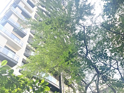 社區圖片
